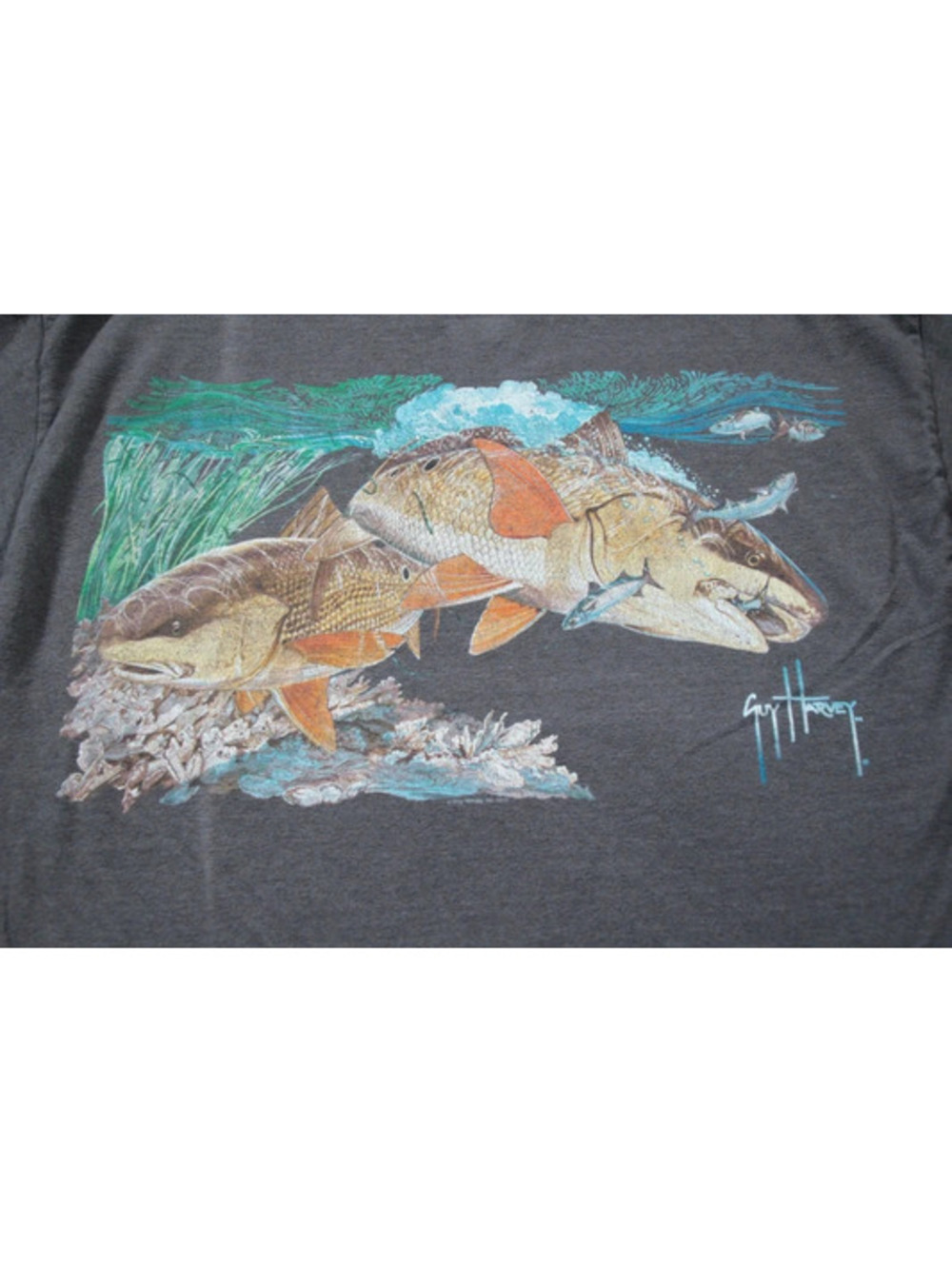 Guy Harvey Pocket T-Shirt Fish Fishing M Gray Distressed